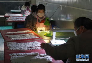 山村工廠復工忙