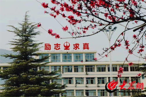 山東省泰安第二中學入選 山東省省級特色高中