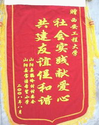 迎團學代會系列展示之工作篇――社會實踐之一 2008年