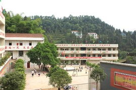 升級學生食品安全 質量防護網