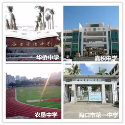 又一封辭職信火了 海南人看的很無奈卻傳瘋了