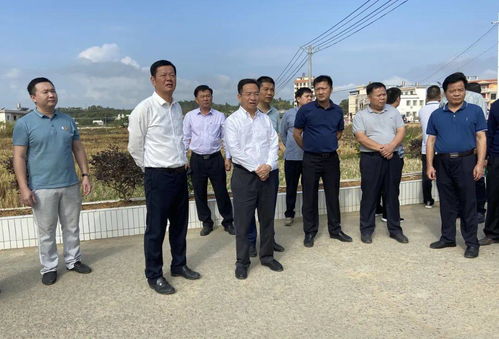 向前沖,再發力,龍川堅決打贏農村人居環境整治收官戰