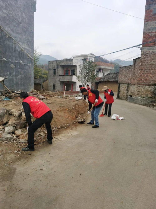 志愿紅在古邑遍地開花