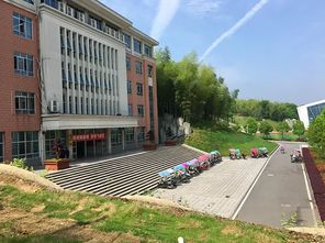 毛坦廠中學高考生 幾個月看次手機 網友以為我死了