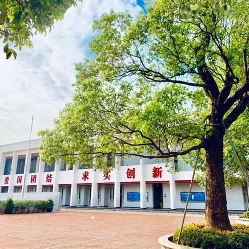 當省實順德學子遇到 凡爾賽文學 ,會擦出怎樣的火花