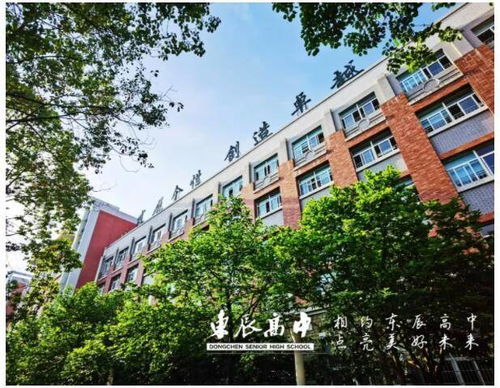 東辰高中蟬聯十四冠,東辰教育一直在領銜