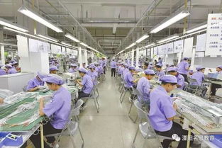 那些初中就輟學的孩子,現(xiàn)在都在干什么