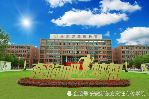 男生初中畢業(yè)學技術,學什么好