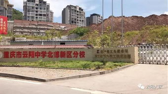 云陽新建5所中小學的建成和開工時間已經初步確定 云陽選聘大學生村官30名,8月24日報名...