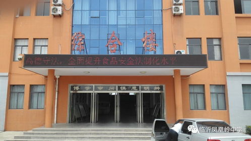 舌尖上的安全 臨沂鳳凰嶺中學開展食品安全宣傳活動