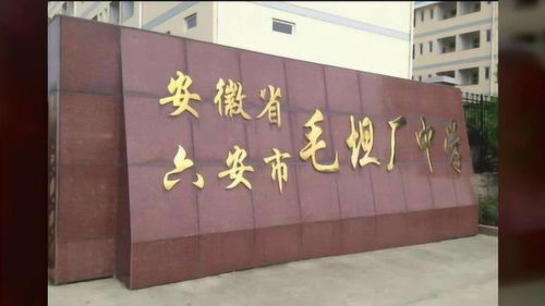 毛坦廠中學,一個高考工廠的史詩