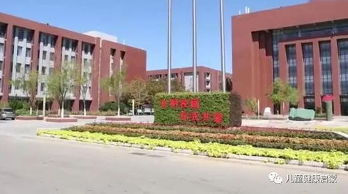 衡水中學(xué)校長的兒子,去西藏高考資格被取消,衡水中學(xué)的牌子啊