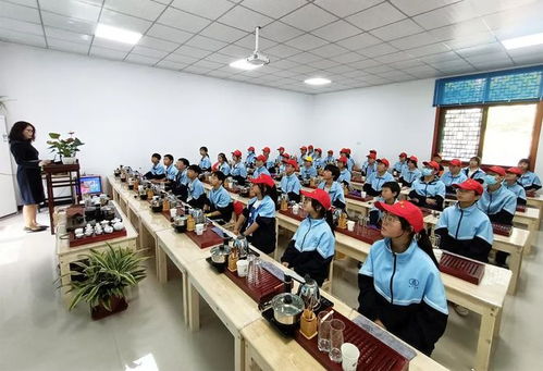 行走的課堂 跟著白河中廠初中采茶去