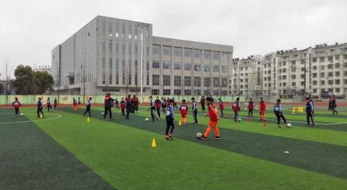 拖鞋廠老板賣掉上海4套房投入青訓(xùn) 奪u12全國冠軍