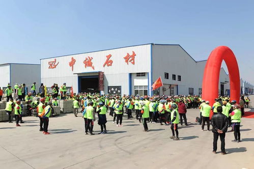 石頭與花的約會(huì)