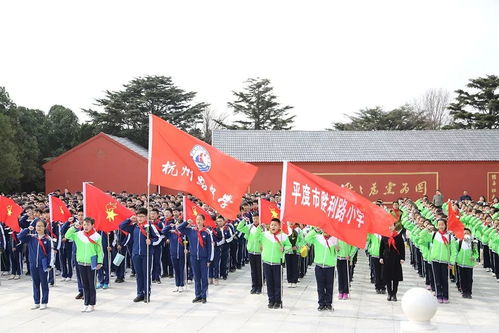 亮點 精致 精彩 精品 杭州路中學2019年工作十大亮點