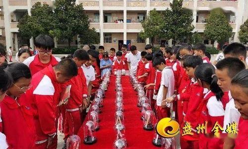 這些偽裝成食品和藥品的東西其實是......