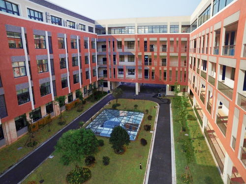 孩子如何進七寶德懷特高級中學(xué) 答案在這里