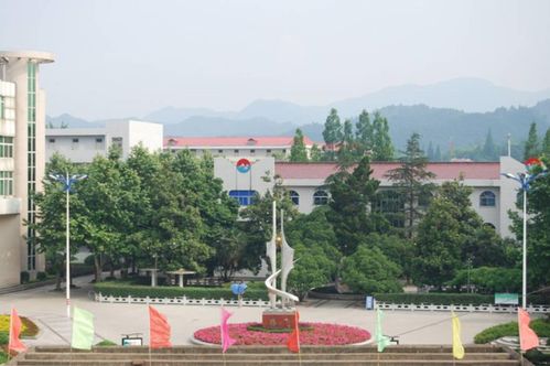 安徽 實力不俗 的4所中學,名校達線率高,但第四個卻頗有爭議