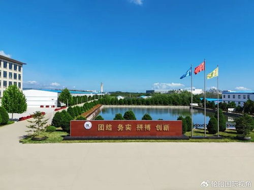 知名輪胎工廠產品質量獲得高度認可